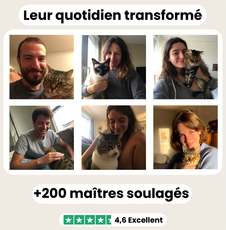 Fontaine à eau sans fil