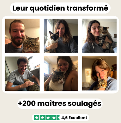 Fontaine à eau sans fil