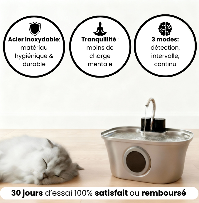 Fontaine à eau sans fil